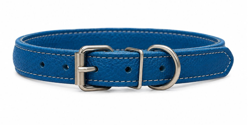 Accessories بيفور Others DOG collar Elit blue