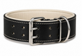 Leather Dog Collar - XL - India