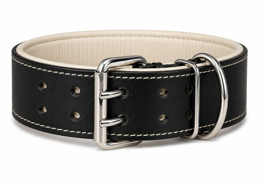 Leather Dog Collar - XL - India