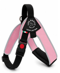 Tre Pointi - Harness For Dogs - M