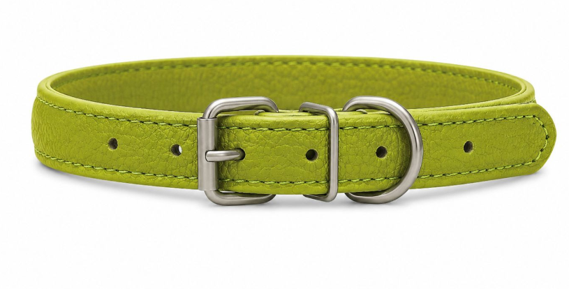 Accessories بيفور Others DOG collar Elit green