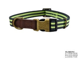 Naomi - Dog Collar - M