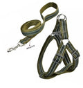 Naomi - Dog Harnees & Leash - L