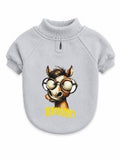 Accessories orgo DOG Orgo - Sweatshirt With Hood - For Dog xxxs-1