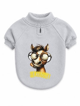 Accessories orgo DOG Orgo - Sweatshirt With Hood - For Dog xxxs-1