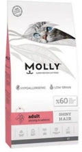 MOLLY - Dry Food - For Adult Cats - 15 kg - Shiny hair Shrimp & Salmon