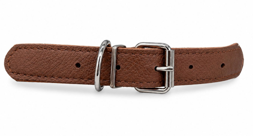 Accessories بيفور Others DOG collar round Elit brown