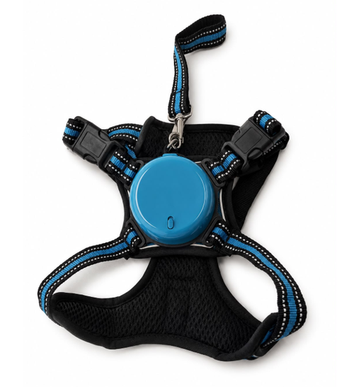 All In One - Dog Harness & Leash - M - ( SB-372-A )