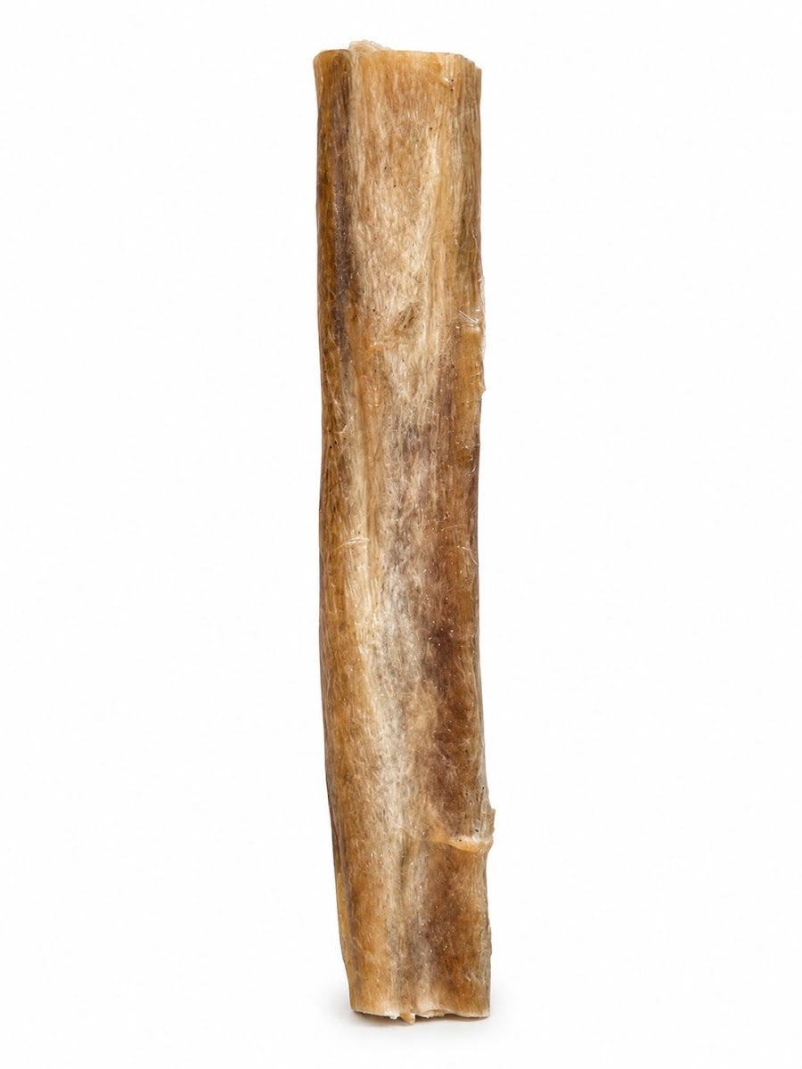 حلال صغير