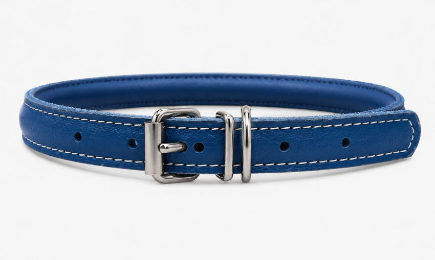 Accessories بيفور Others DOG collar round Elit blue