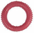 Accessories orgo DOG DOG CHEW TOYS ( Purple, Orange, Pink )