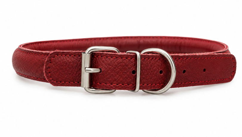 Accessories بيفور Others DOG collar round Elit red