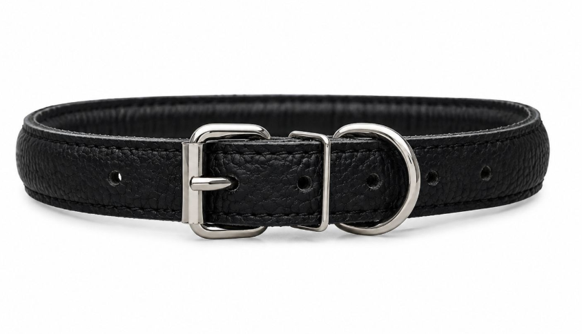 Accessories بيفور Others DOG collar round Elit black