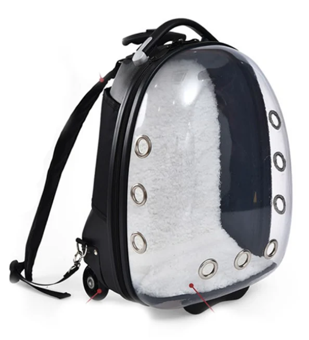 Naomi - Bag Packpack ( 32*20*H45cm )