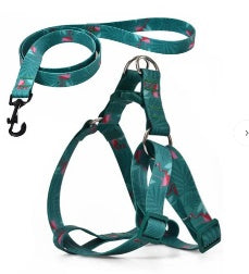 Naomi - Dog Harnees & Leash - L